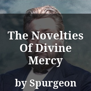 The Novelties Of Divine Mercy