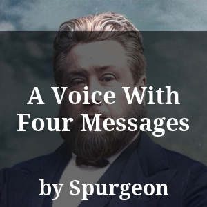 A Voice With Four Messages