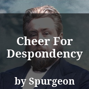 Cheer For Despondency