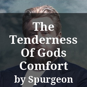 The Tenderness Of Gods Comfort