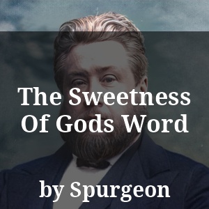 The Sweetness Of Gods Word