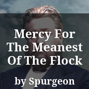 Mercy For The Meanest Of The Flock