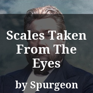 Scales Taken From The Eyes