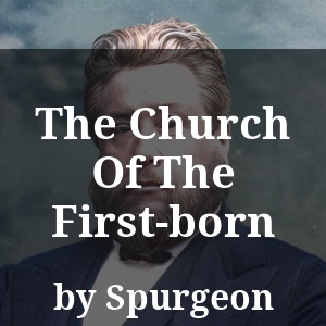 The Church Of The First-born