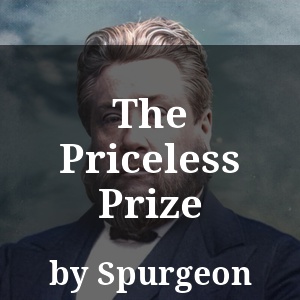 The Priceless Prize