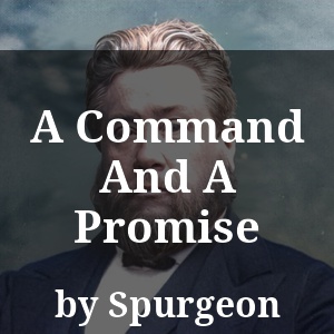 A Command And A Promise