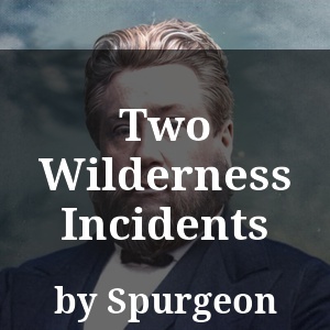 Two Wilderness Incidents