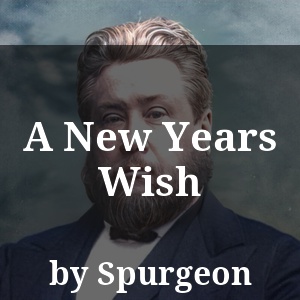 A New Years Wish