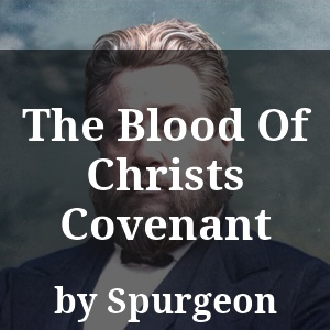 The Blood Of Christs Covenant