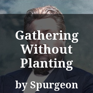 Gathering Without Planting