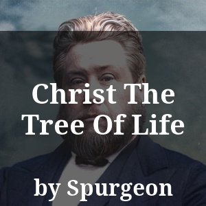 Christ The Tree Of Life