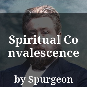 Spiritual Convalescence