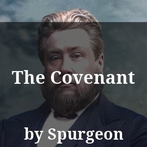 The Covenant