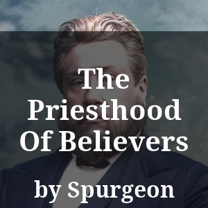 The Priesthood Of Believers