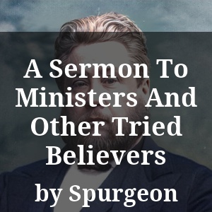 A Sermon To Ministers And Other Tried Believers