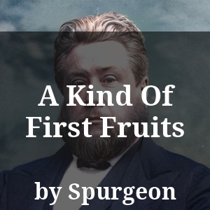 A Kind Of First Fruits