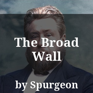 The Broad Wall