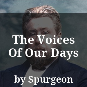 The Voices Of Our Days