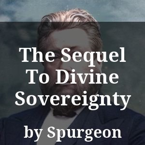 The Sequel To Divine Sovereignty