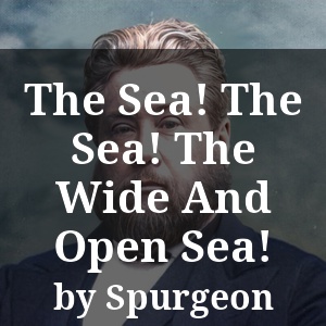 The Sea! The Sea! The Wide And Open Sea!