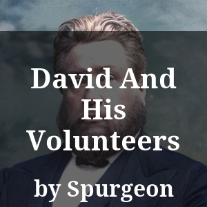 David And His Volunteers