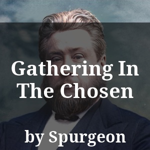 Gathering In The Chosen