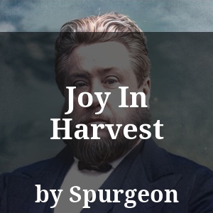 Joy In Harvest