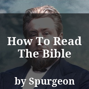 How To Read The Bible