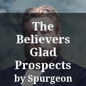 The Believers Glad Prospects