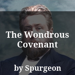 The Wondrous Covenant