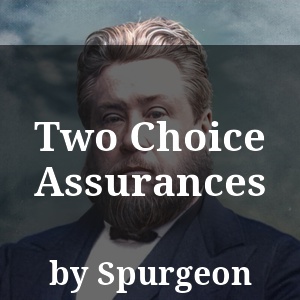 Two Choice Assurances