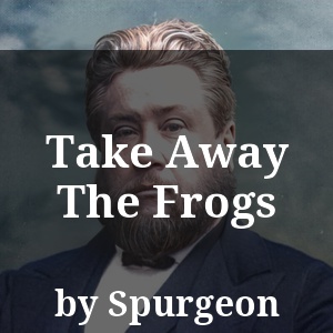 Take Away The Frogs