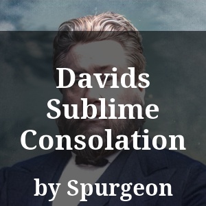 Davids Sublime Consolation