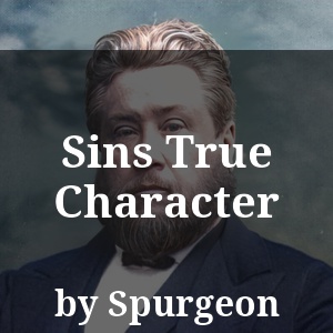 Sins True Character