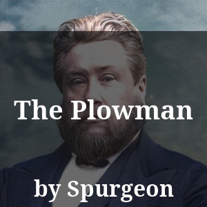 The Plowman