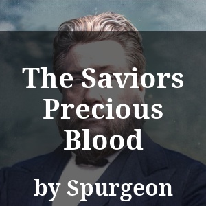 The Saviors Precious Blood