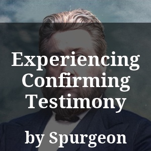 Experiencing Confirming Testimony