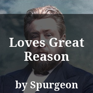 Loves Great Reason