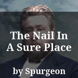 The Nail In A Sure Place