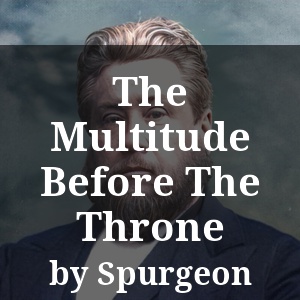 The Multitude Before The Throne