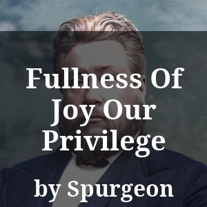 Fullness Of Joy Our Privilege