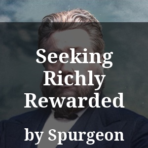 Seeking Richly Rewarded