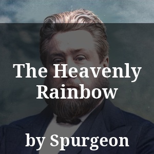 The Heavenly Rainbow