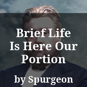 Brief Life Is Here Our Portion