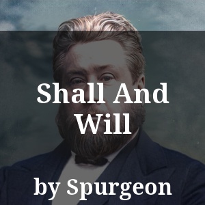 Shall And Will