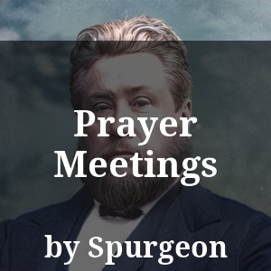 Prayer Meetings