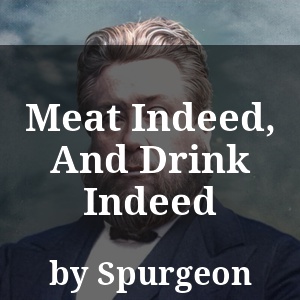 Meat Indeed, And Drink Indeed