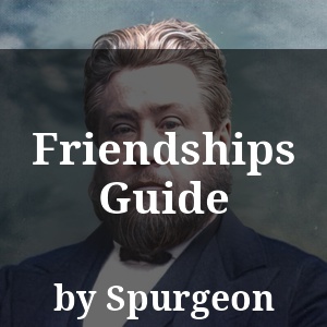 Friendships Guide