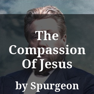 The Compassion Of Jesus