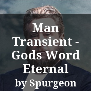 Man Transient - Gods Word Eternal